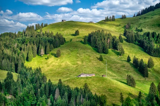 Serene rolling hills covered in lush greenery and scattered trees under a blue sky.