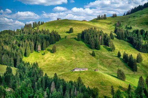 Free Serene rolling hills covered in lush greenery and scattered trees under a blue sky. Stock Photo