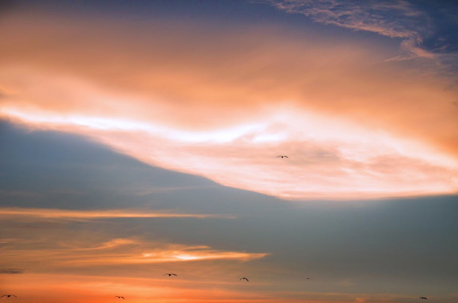 Beautiful sunset with birds flying under a colorful sky in Pahang, Malaysia.