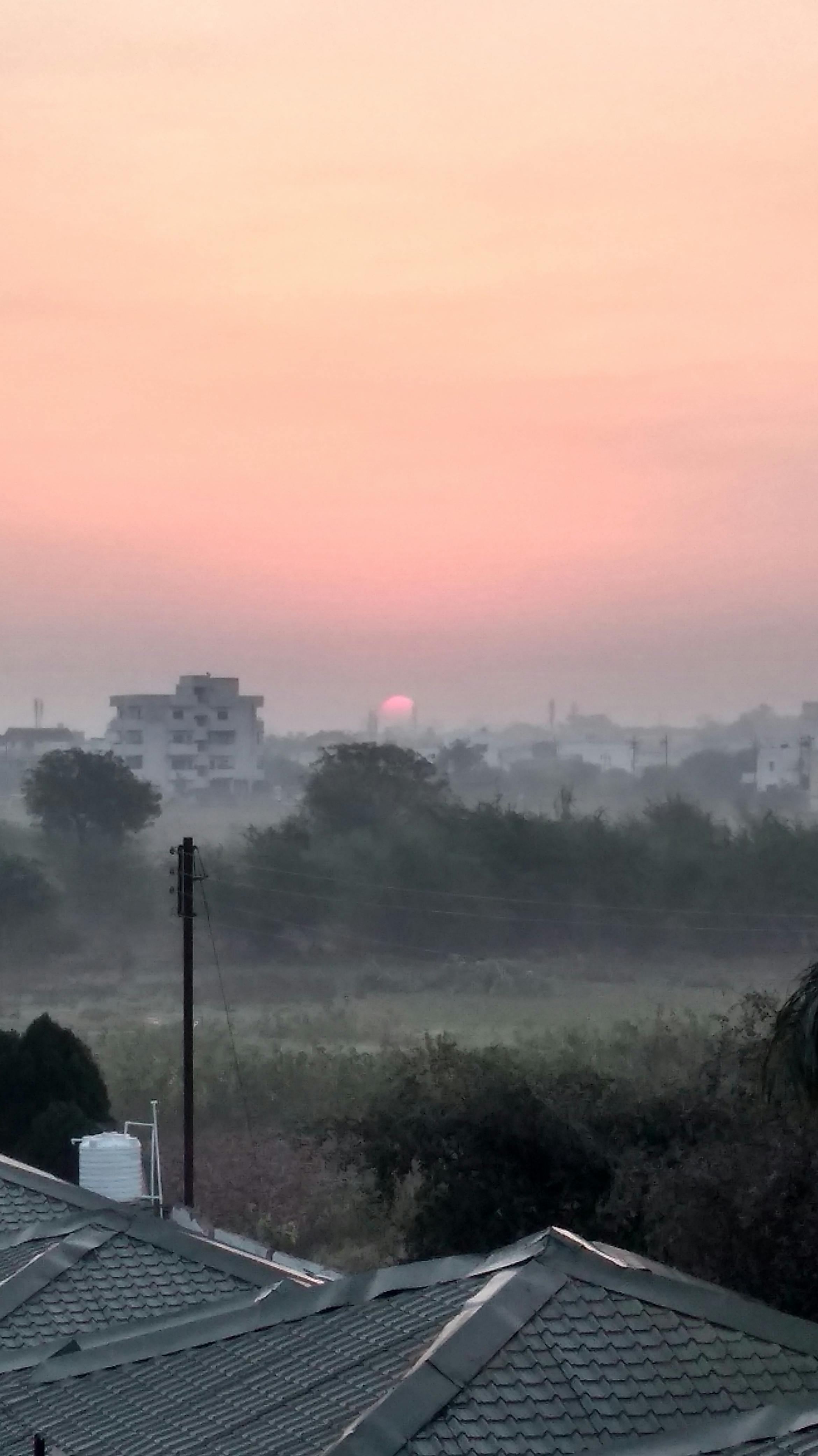 Variedad de tapas españolas servidas en un bar