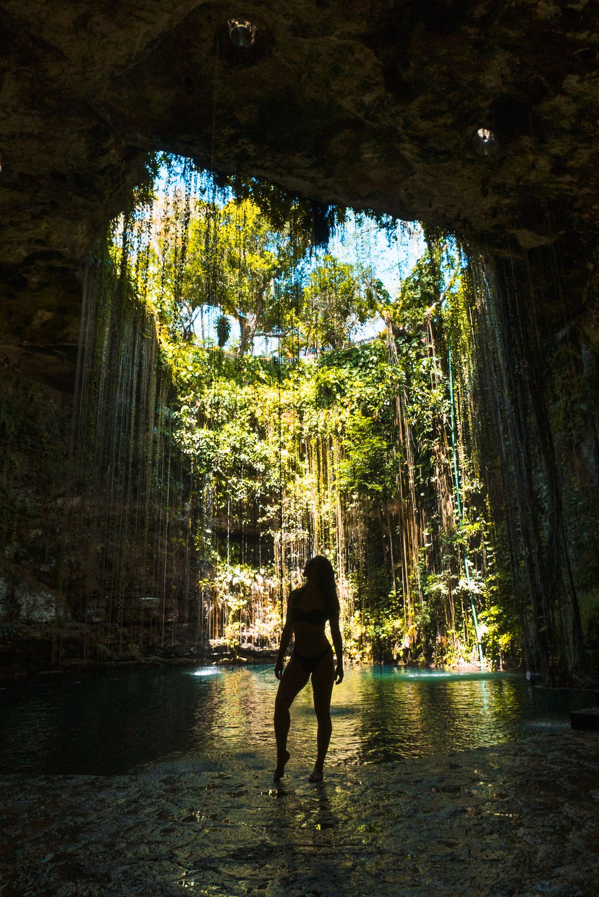 Cenote vines and waterfall