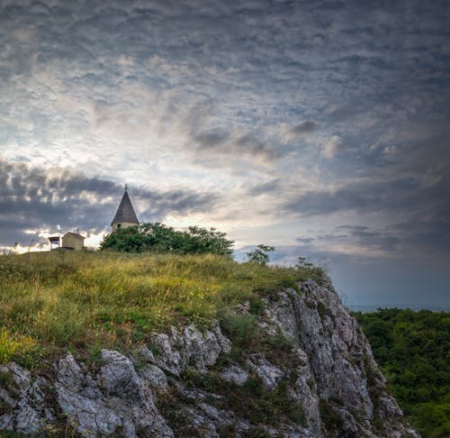 Foto d'estoc gratuïta de @outdoor, arbre, arbust