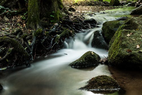 Foto d'estoc gratuïta de @outdoor, aigua, arbre