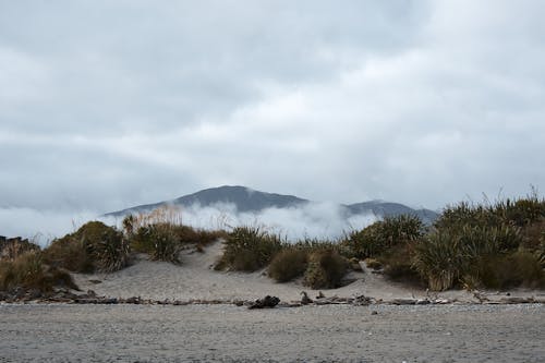 Δωρεάν στοκ φωτογραφιών με άμμος, βουνό, γρασίδι Φωτογραφία από στοκ φωτογραφιών