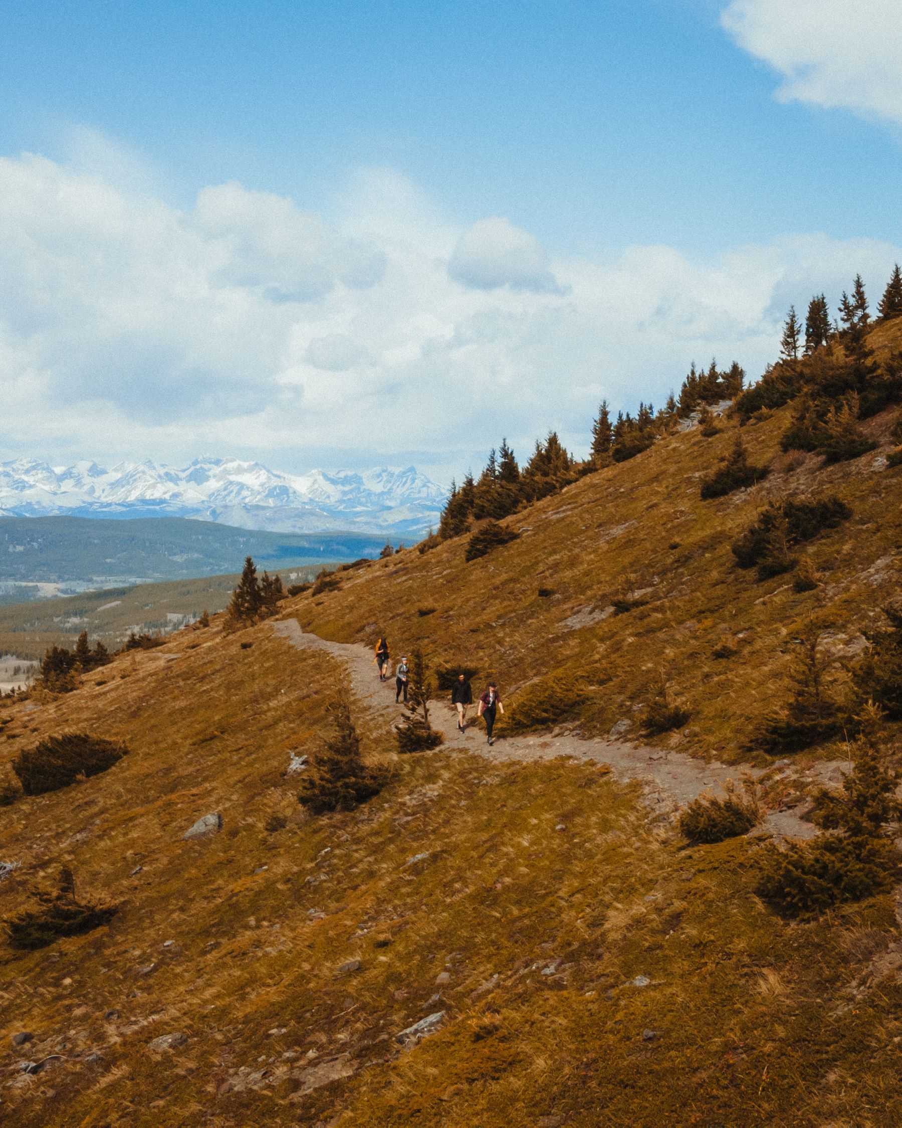 Group of hikers trekking along a mountain trail with stunning views and clear skies.
