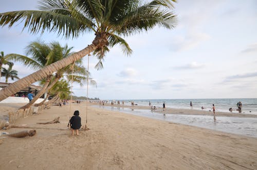 Безкоштовне стокове фото на тему «берег моря, відпустка, кокосові пальми» стокове фото