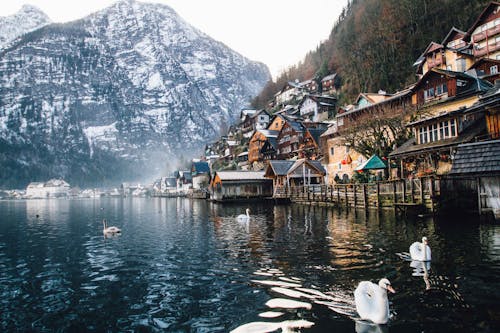 Photo De Maisons Près D'un Plan D'eau