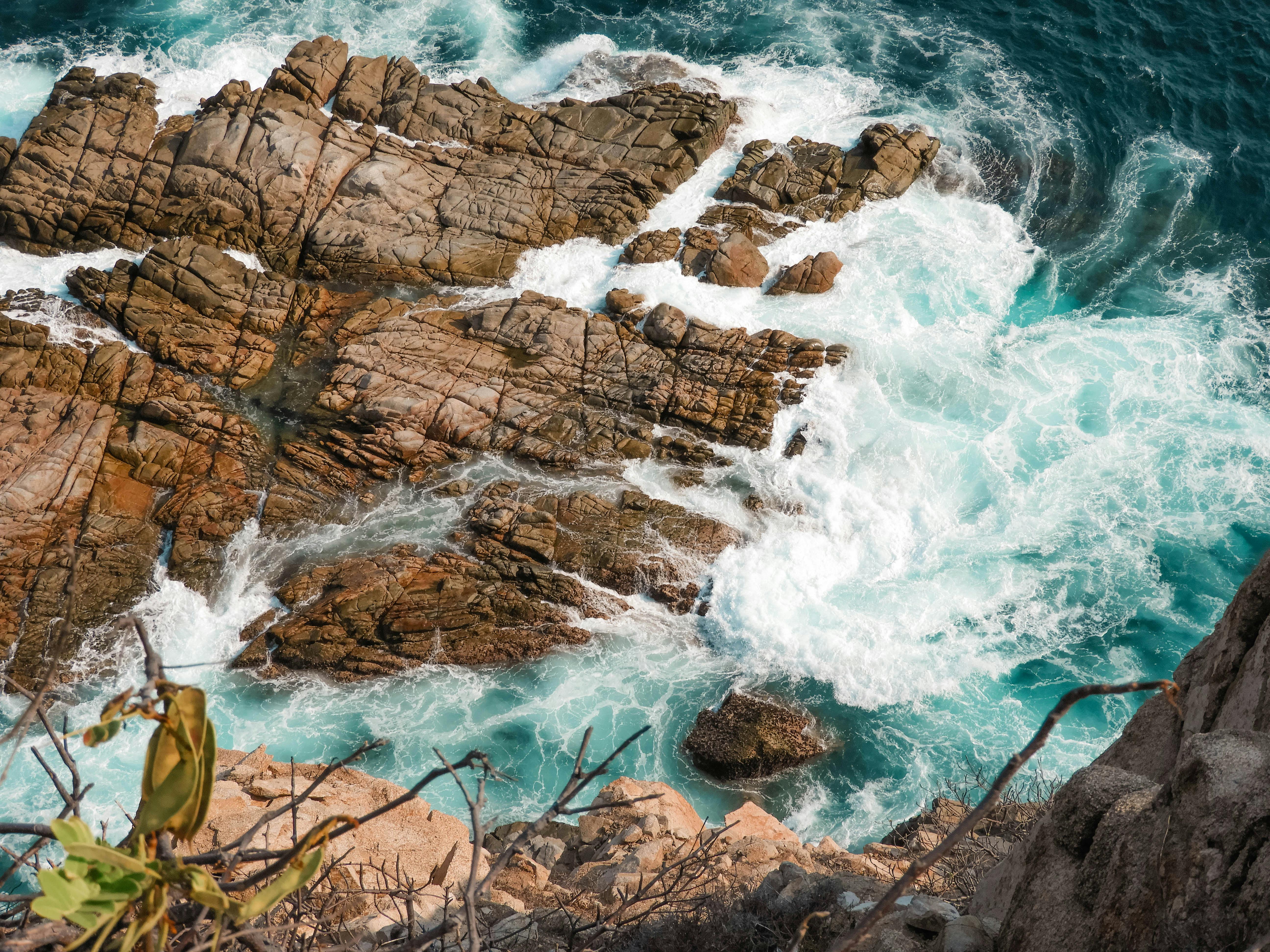 Buitres Después de la Una: El Poder Crudo y Perduradero que Define el Rock Latino