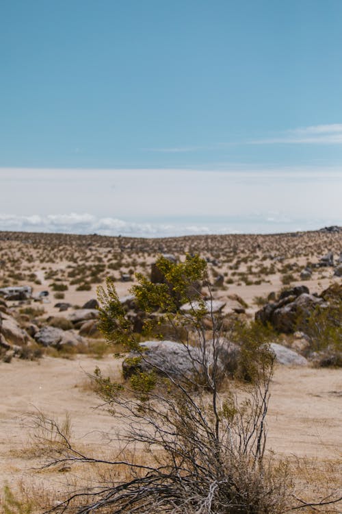 Gratis lagerfoto af blå himmel, californien, dødens dal