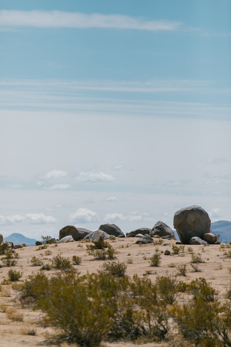 Rock Boulders And Green Bush On Dirt Ground