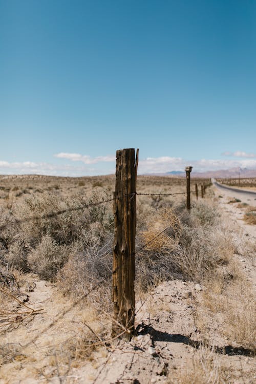 Wooden Post With Barbed Wires Near a Road Under a Blue Sky