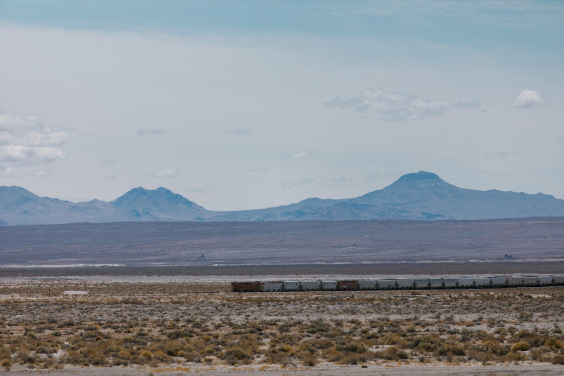 Sapporo city view with TV Tower