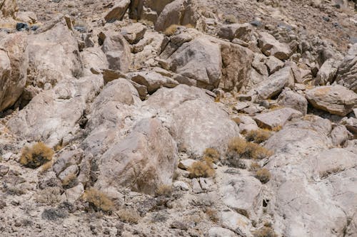 Close up of Barren Rocks