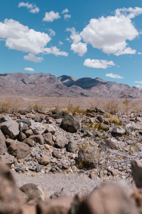 Stones and Rocks on Wasteland