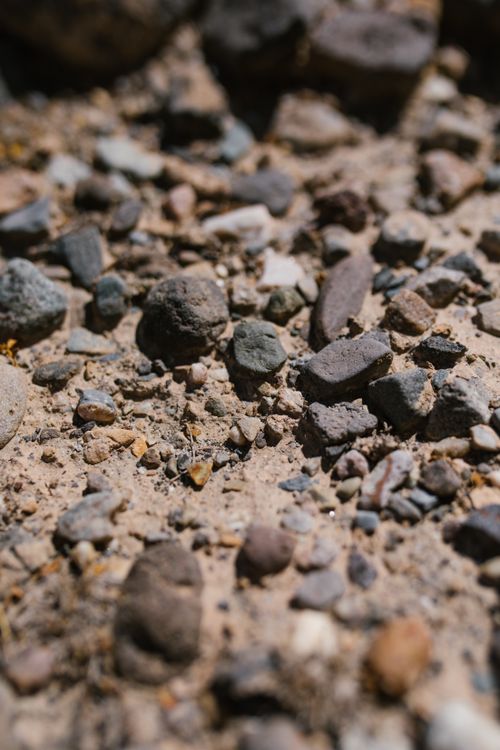 Free Detailed view of rocks and stones in natural ground setting, ideal for textures. Stock Photo