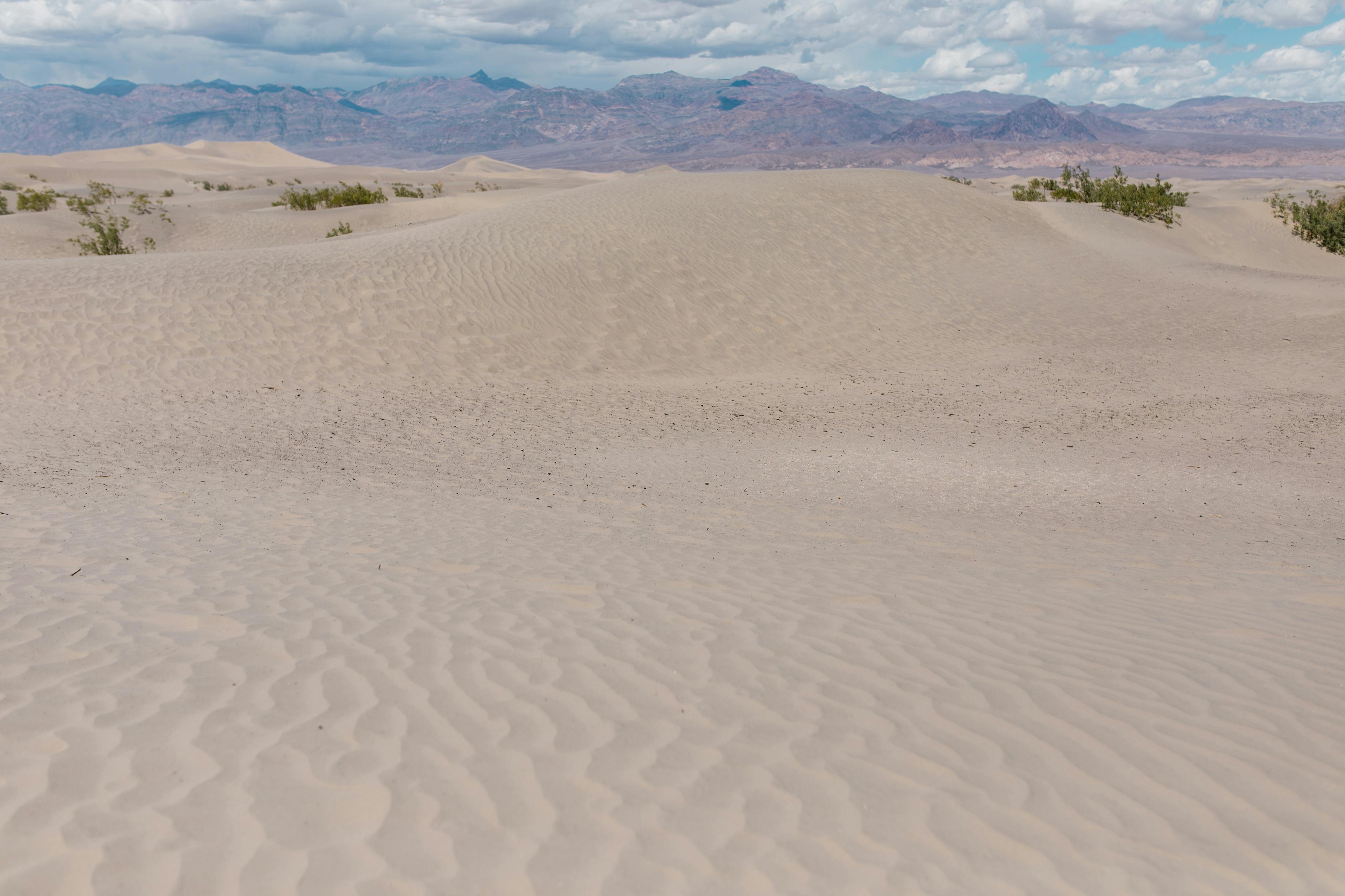 What are natural causes of death?