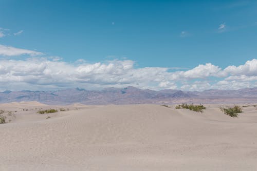 
A Desert with Mountains in the Background