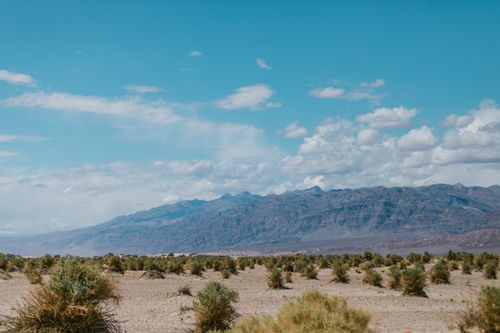 Free Wide view of a rocky mountain landscape under a clear blue sky with scattered bushes. Stock Photo