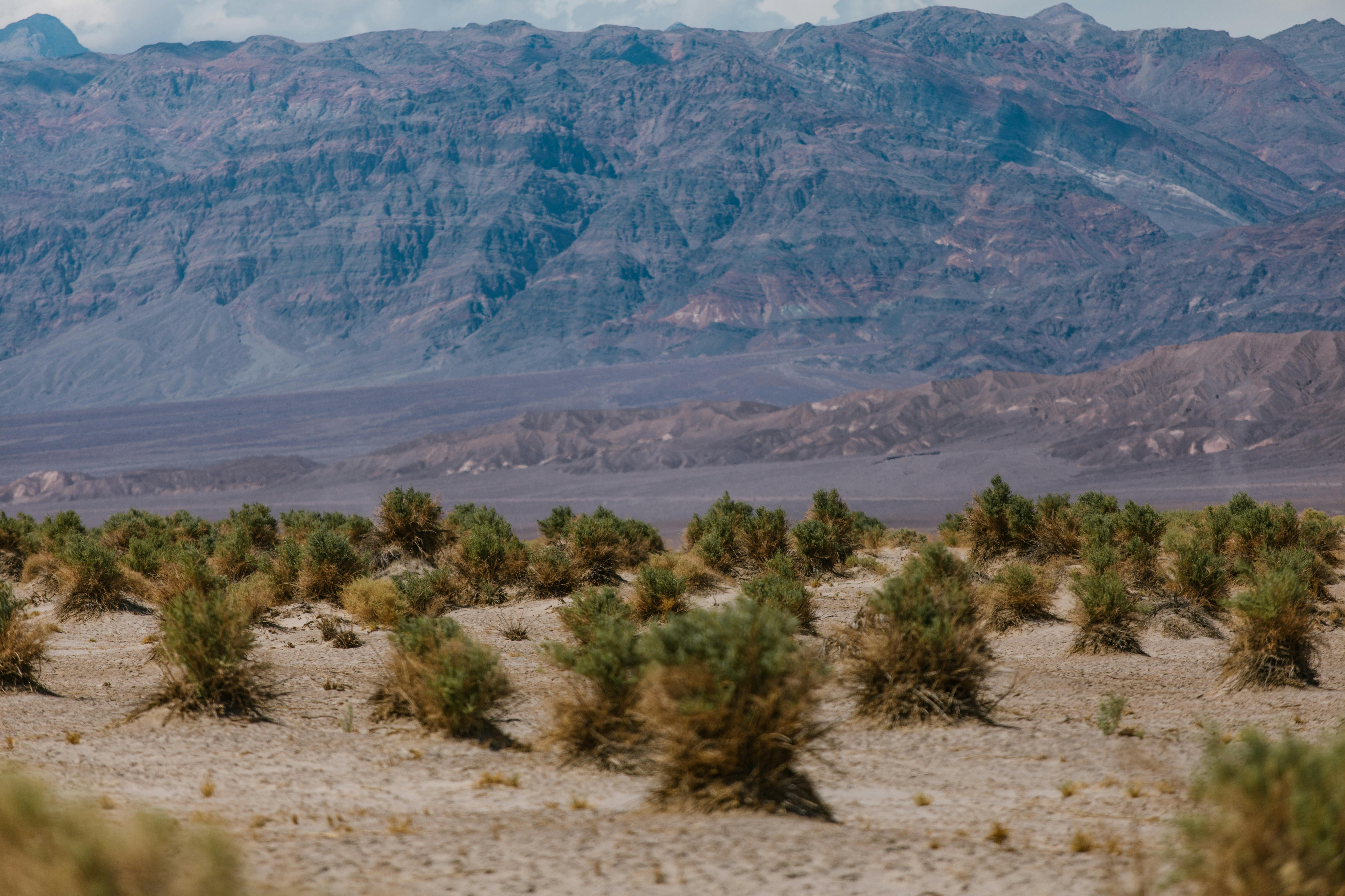 Do you put dirt over landscape fabric?