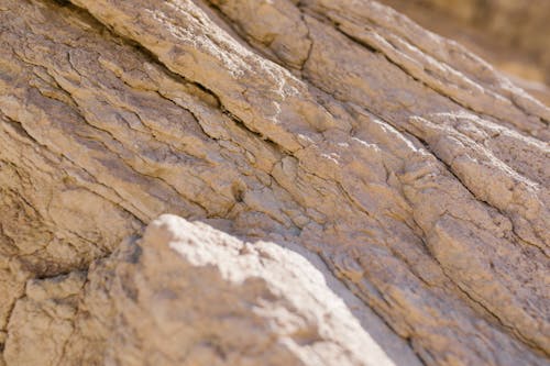 Brown Rock Fragment