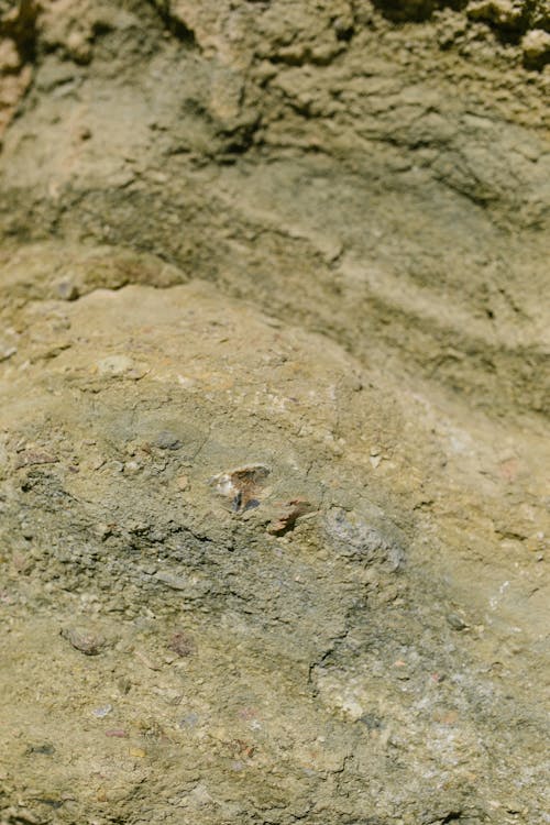 Close up of Barren Rock Surface