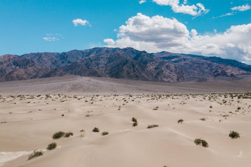 Brown Mountains on Desert