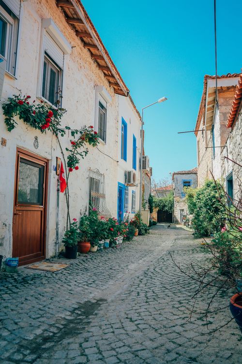 Free Narrow street with aged white stone buildings with blue windows and flowers in pots in sunny cloudless day Stock Photo