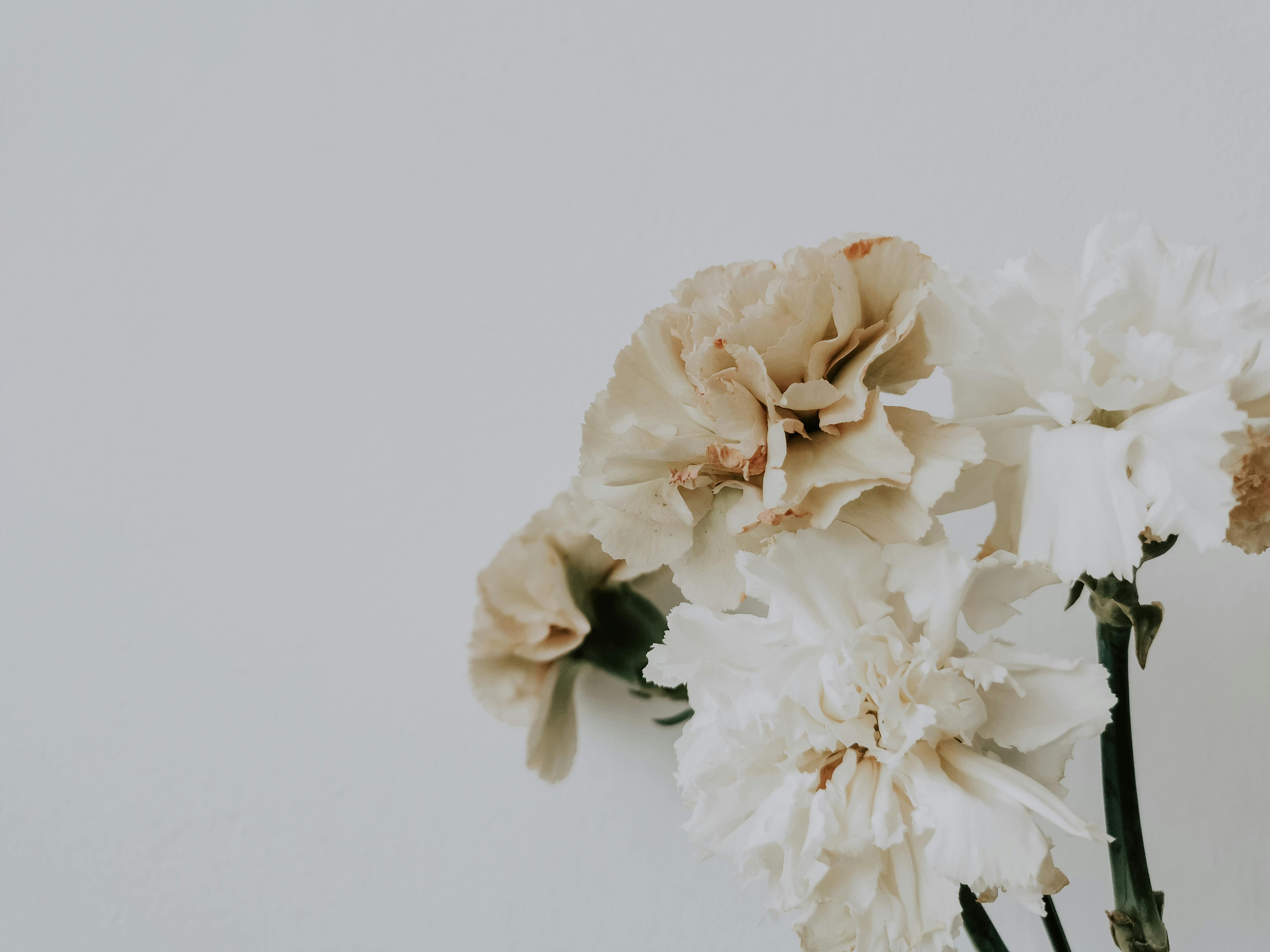 Bó hoa (Bouquet): Bó hoa tươi tắn và xinh đẹp là món quà tuyệt vời mà bạn có thể dành tặng cho người thân yêu của mình. Hãy cùng chiêm ngưỡng những bó hoa đầy màu sắc và tình cảm này để cảm nhận được sức sống và tình yêu đang tồn tại chung quanh chúng ta.