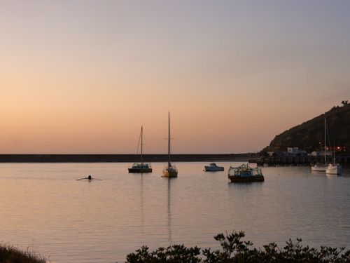 Free Serene sunset over a harbor in New Zealand with various sailboats and calm waters, showcasing nature's tranquility. Stock Photo