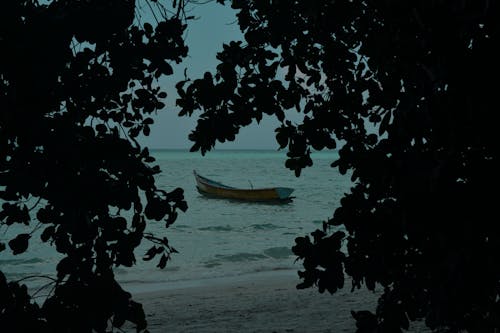 คลังภาพถ่ายฟรี ของ จอดเรือ, ชายหาด, ซิลูเอตต์