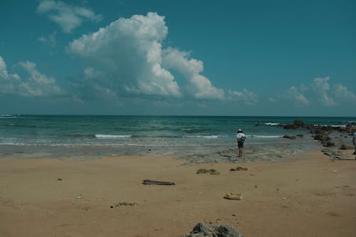 grátis Foto profissional grátis de areia, beira-mar, céu azul Foto profissional