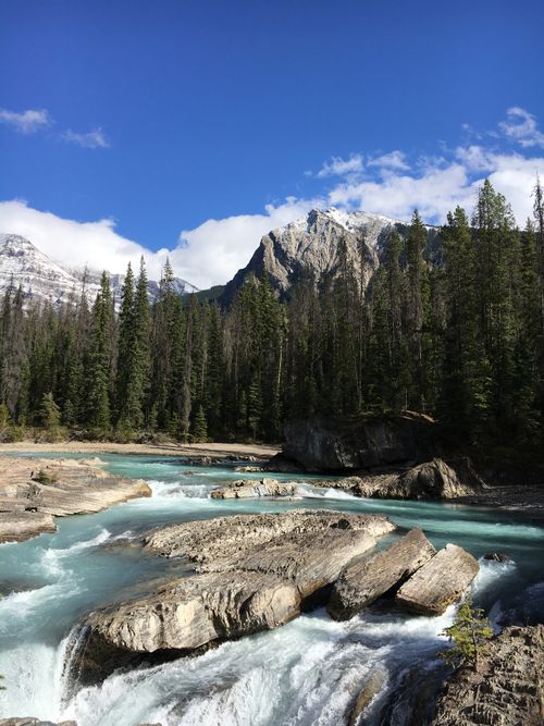 Free Scenic river flowing through Yoho National Park, framed by mountains and forests. Stock Photo
