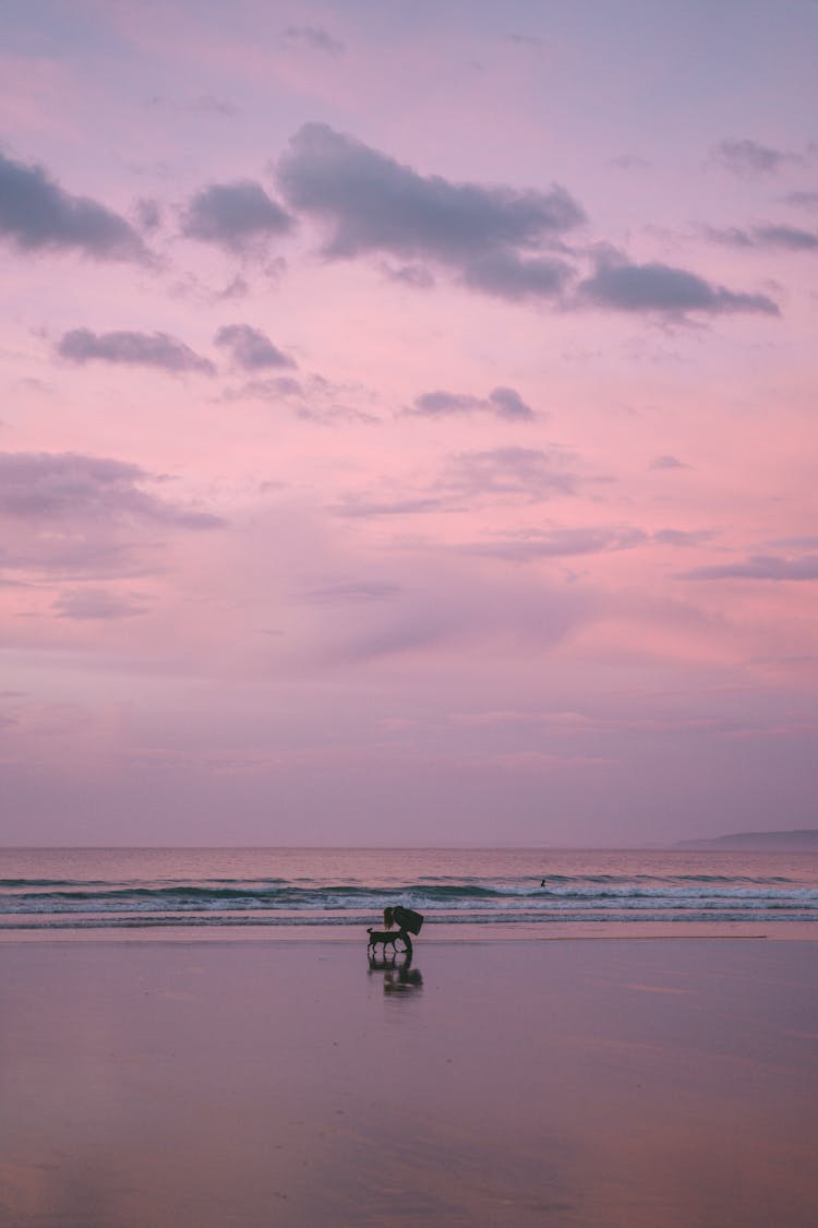 

A Woman With Her Pet Dog On The Beach