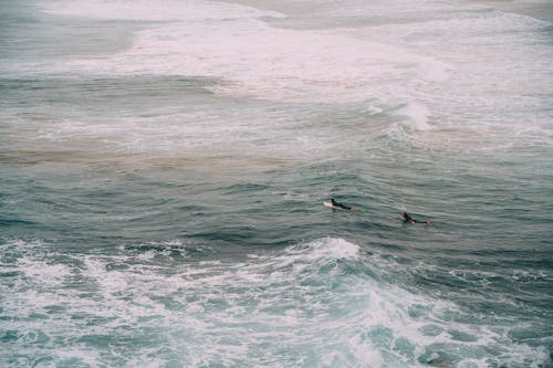 Бесплатное стоковое фото с Аэрофотосъемка, вода, волны