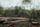 tree cutting