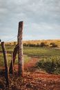 Brown Wooden Post on Green Grass Field
