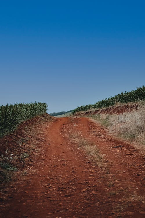 
An Unpaved Road under a Blue Sky