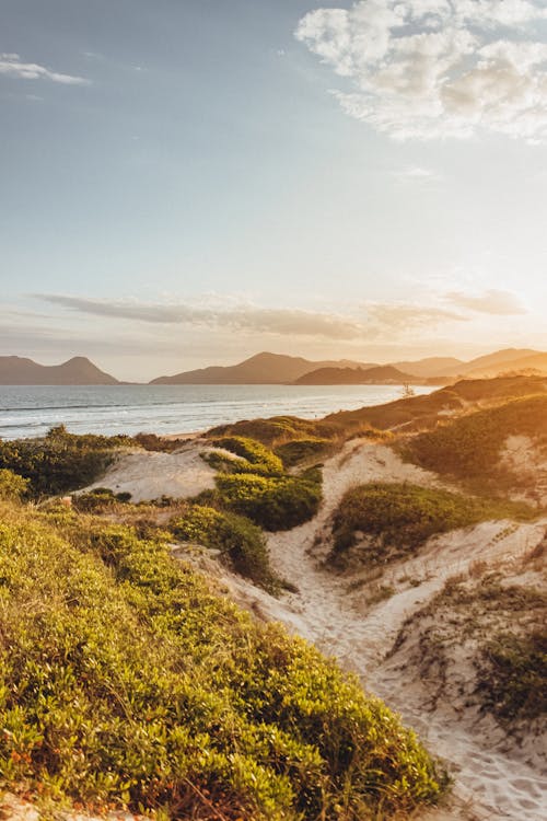 A Beach during a Sunset