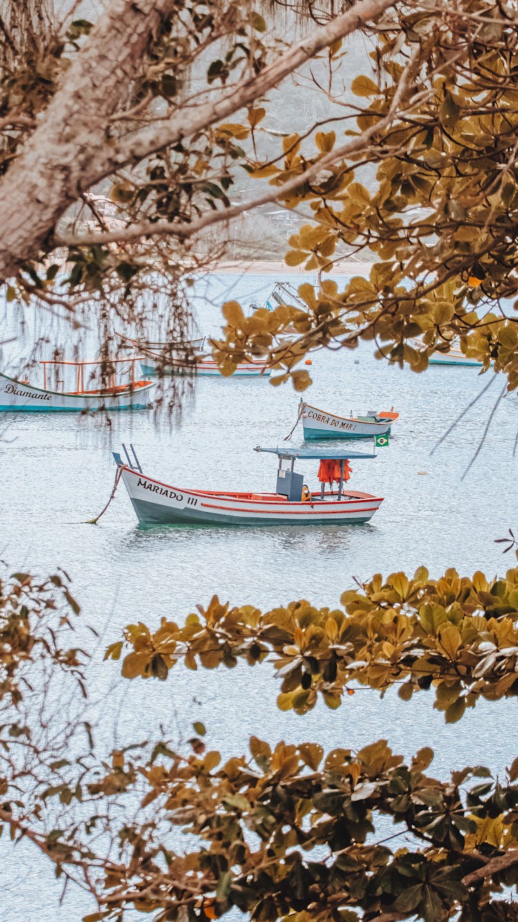 Boats Sailing In Water