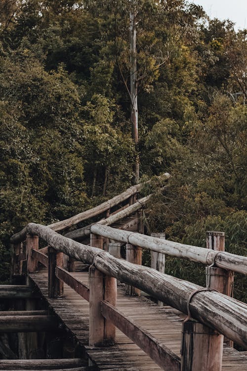 人行天橋, 垂直拍摄, 手機桌面 的 免费素材图片