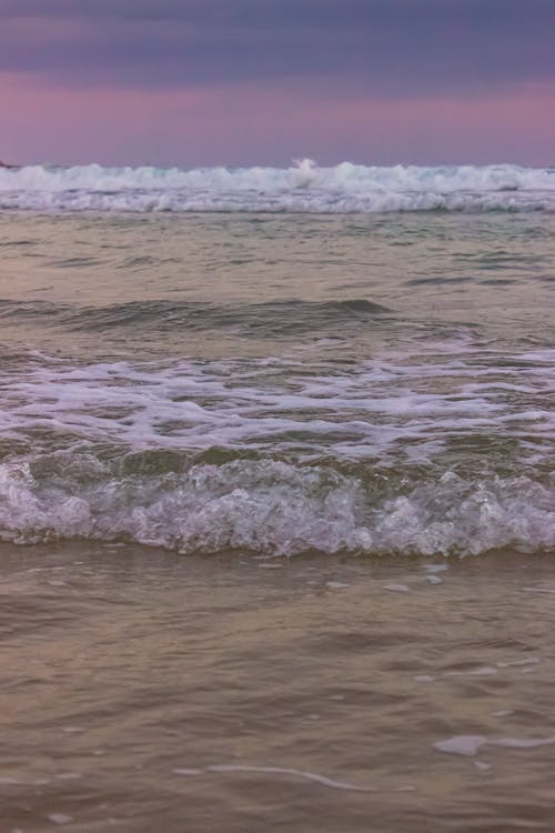 ฟรี คลังภาพถ่ายฟรี ของ กระปะทะ, ชายหาด, ท้องฟ้าสีชมพู คลังภาพถ่าย
