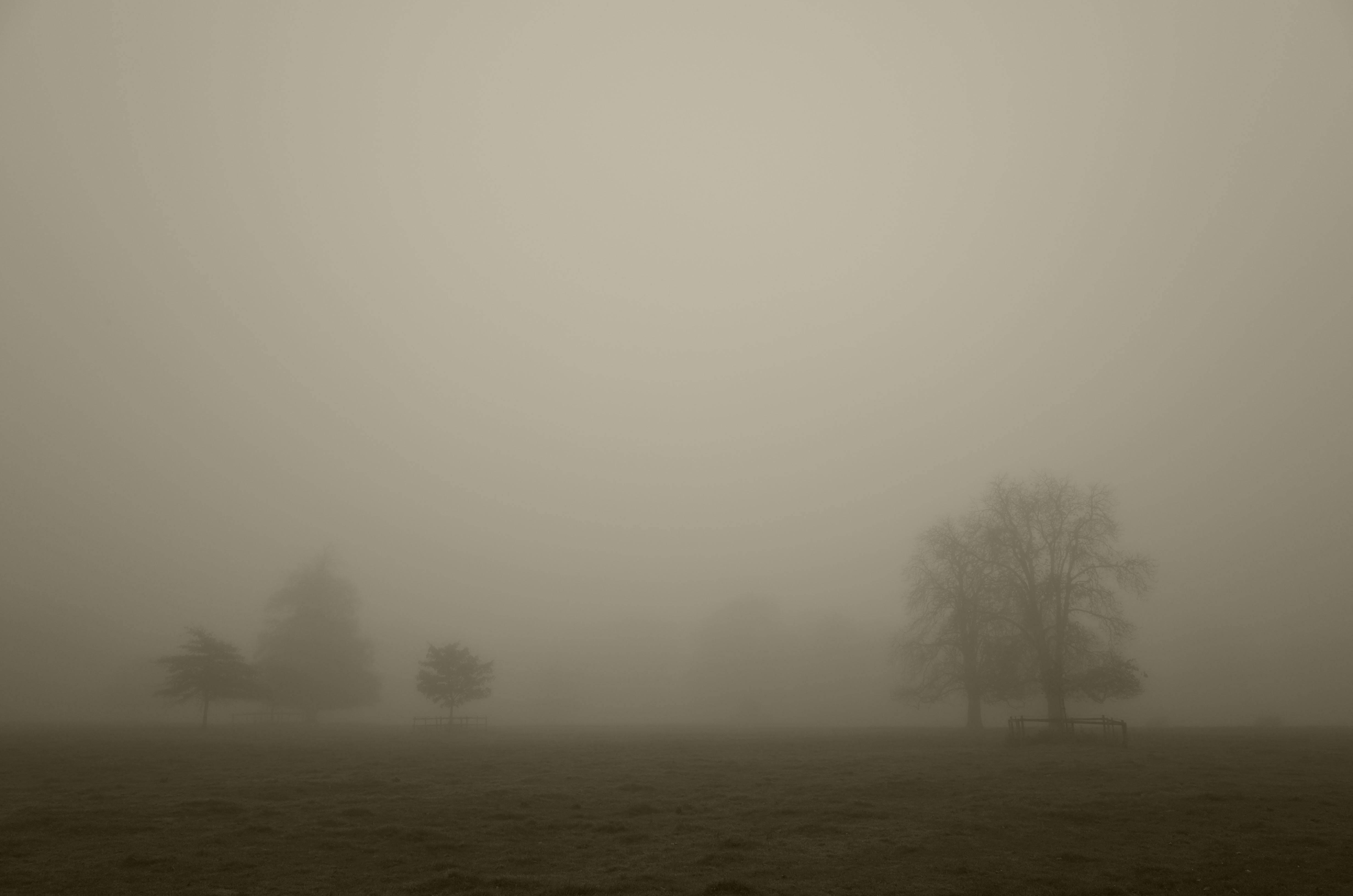 Kostenloses Foto zum Thema nacht