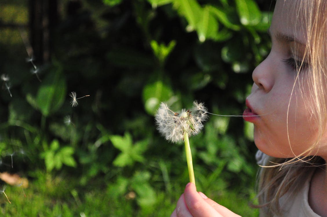 Girl Blowing White Dandelion Flower