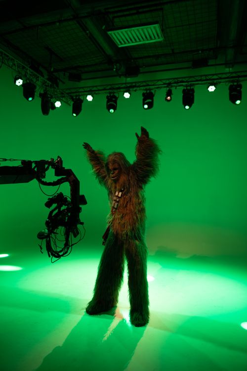 Free A person in a Wookie costume poses on a green screen film set with studio lighting. Stock Photo