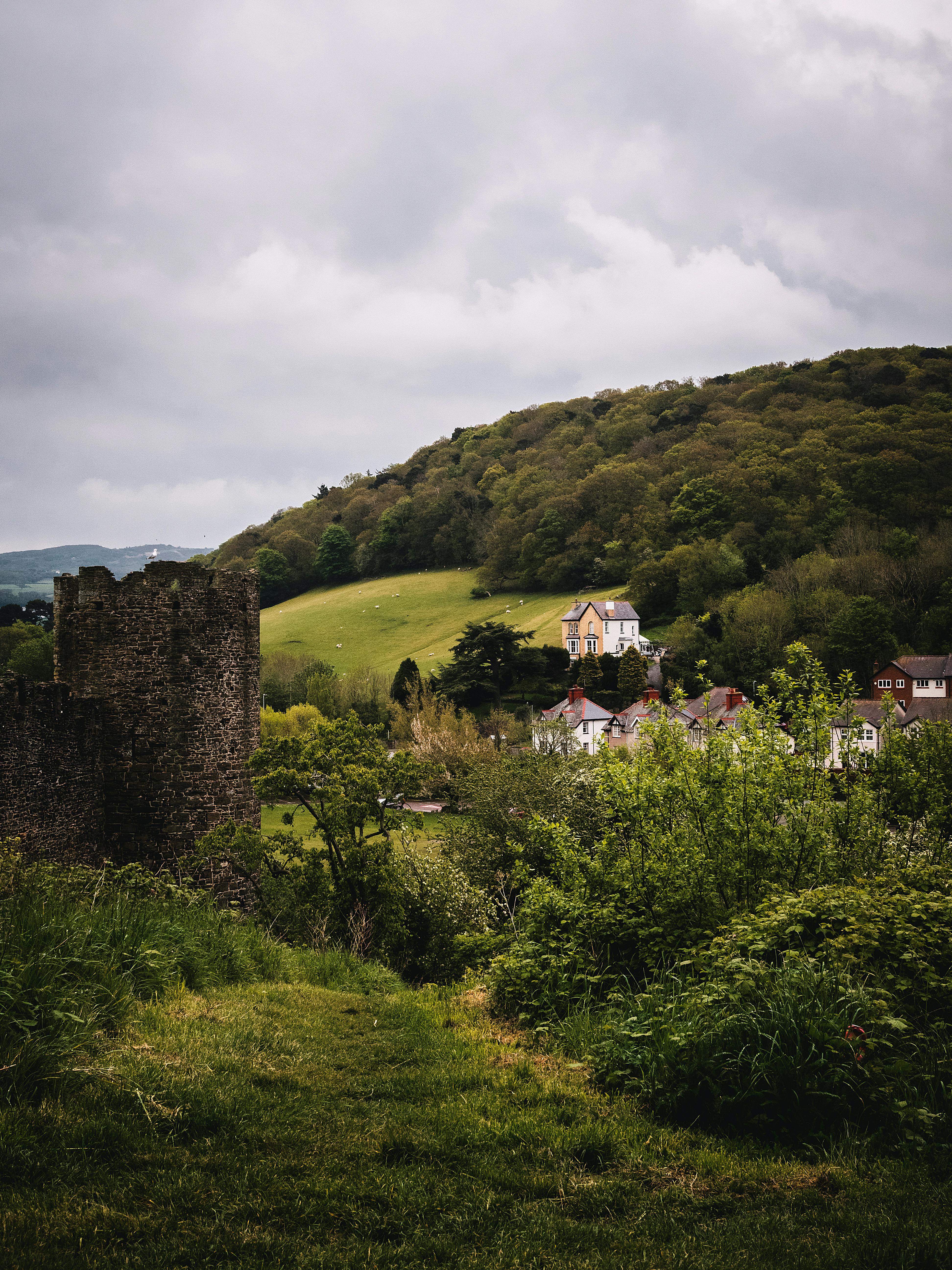 Scenic view of castle ruins surrounded by lush countryside hills and houses in summer.