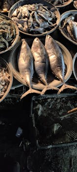 Close-up of fresh fish and seafood in market baskets, ideal for culinary and seafood concepts.