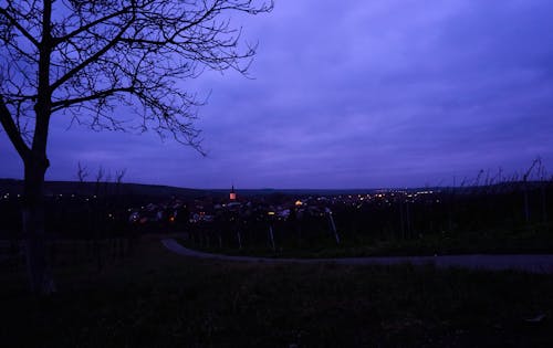 Free stock photo of evening sky, tree, village