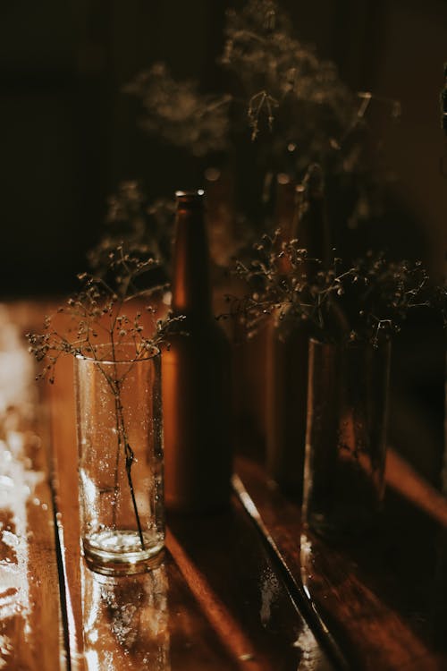 Plants in Long Glasses on Wet Table