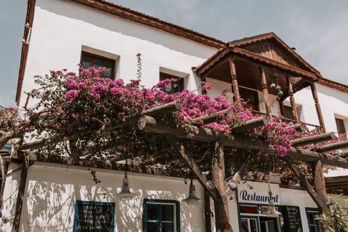 Free Traditional restaurant facade adorned with blooming bougainvillea in Antalya, Turkey. Stock Photo