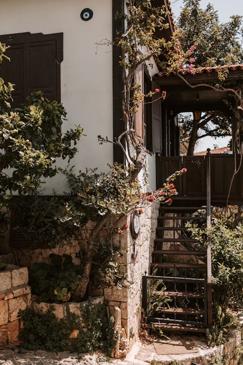 Green Plants Outside The House